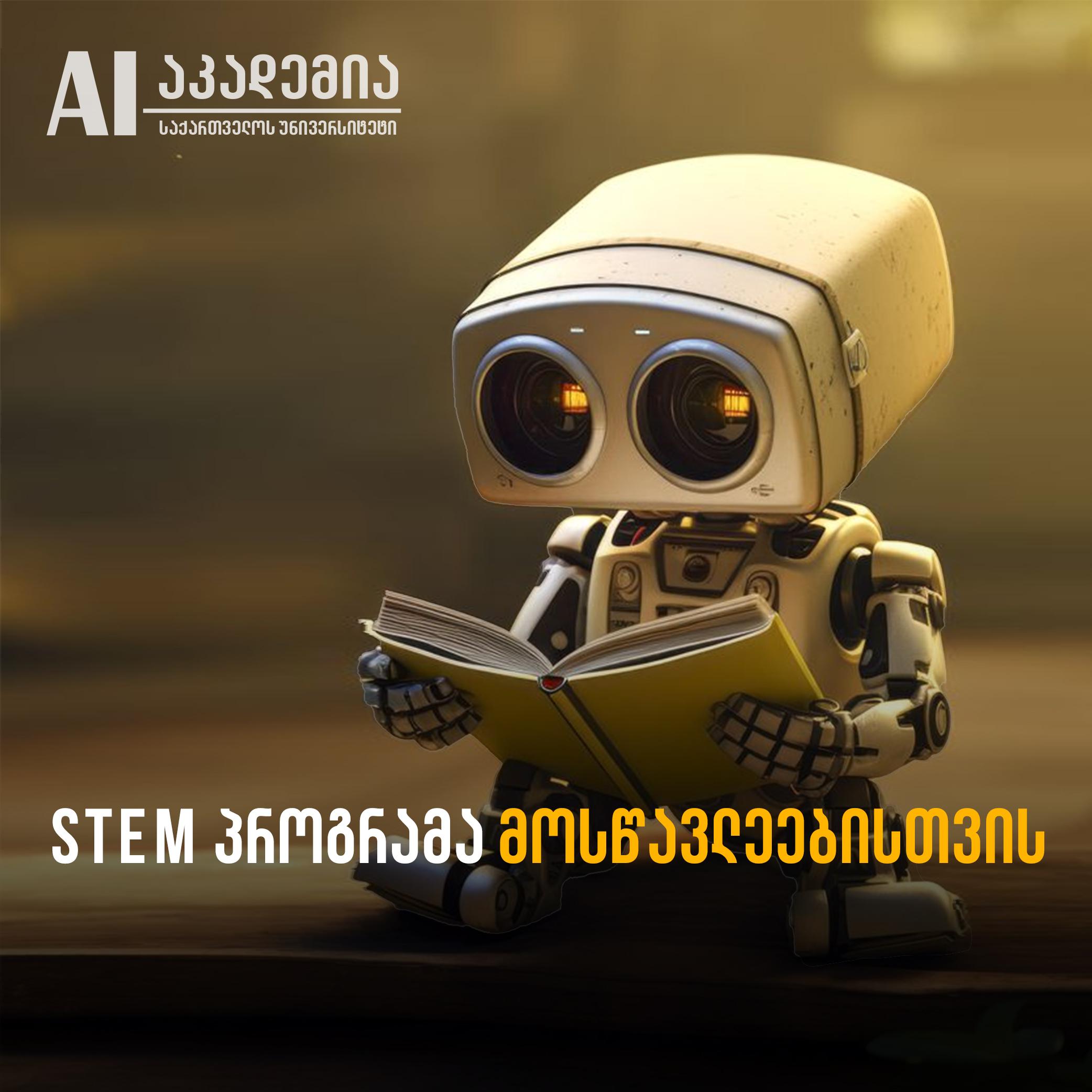 STEM პროგრამა