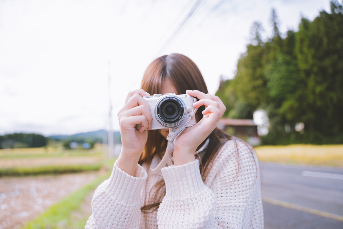 დსდსდსდს