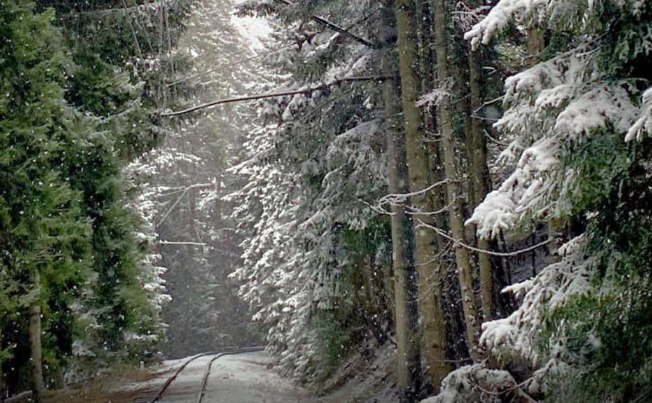 საქართველოს უნივერსიტეტის სტუდენტებისთვის მოეწყო ტექნოლოგიური ბანაკი კურორტ ცემში