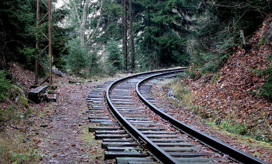 საქართველოს უნივერსიტეტის სტუდენტებისთვის მოეწყო ტექნოლოგიური ბანაკი კურორტ ცემში