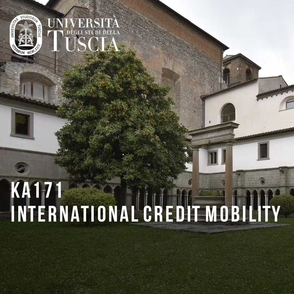 გაცვლით პროგრამა Tusia